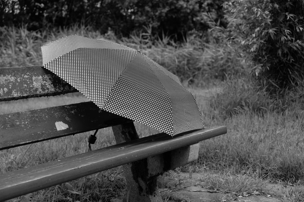 Bridgegap All Weather
